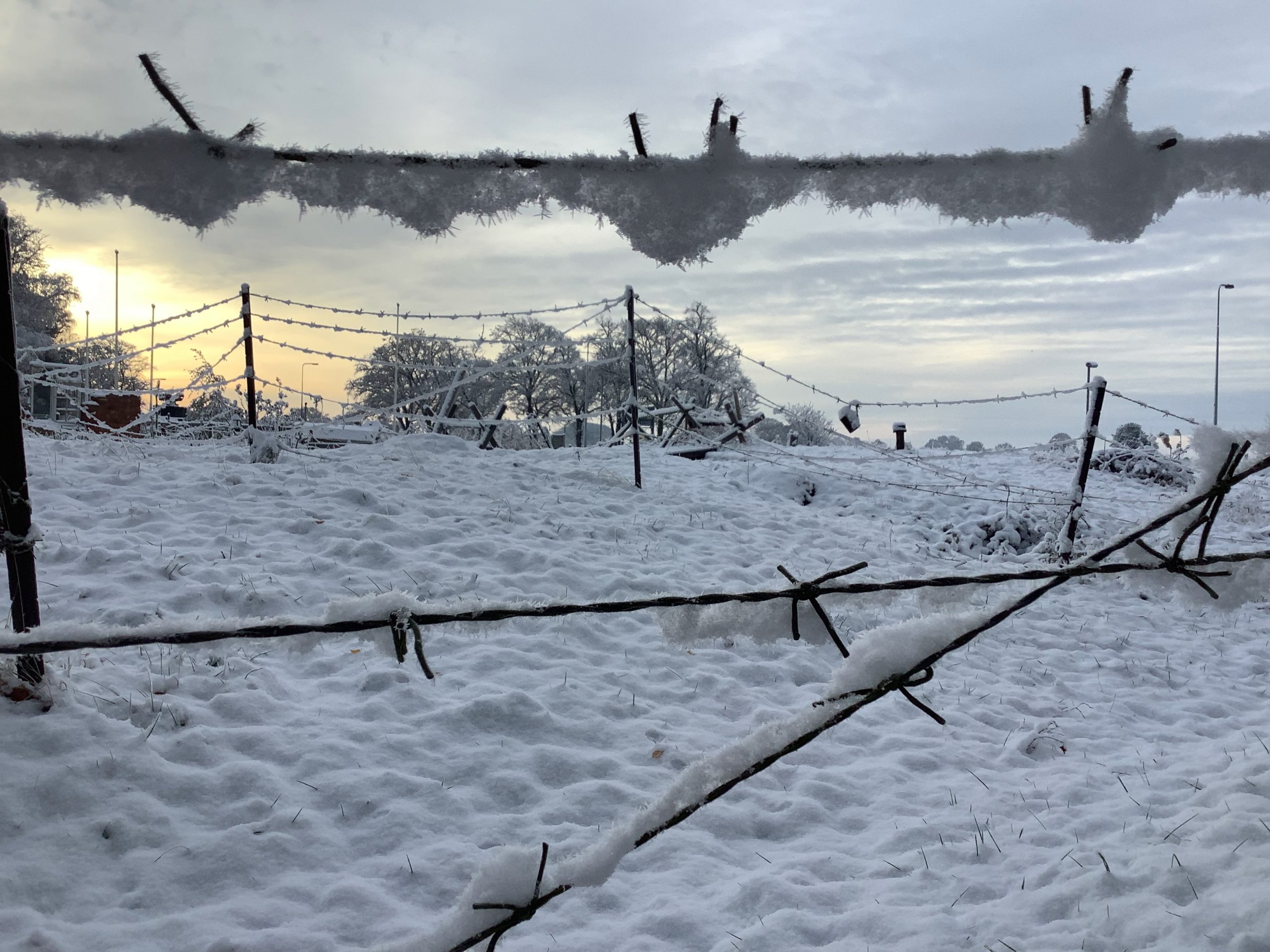 Snow covered ground. The sun rising in the distance. Barbed wire with freezing snow crossing the image/